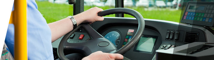 Bild: Busfahrer